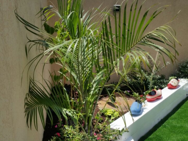 01c2739f0d14ca42130f0b1ba88cea8c