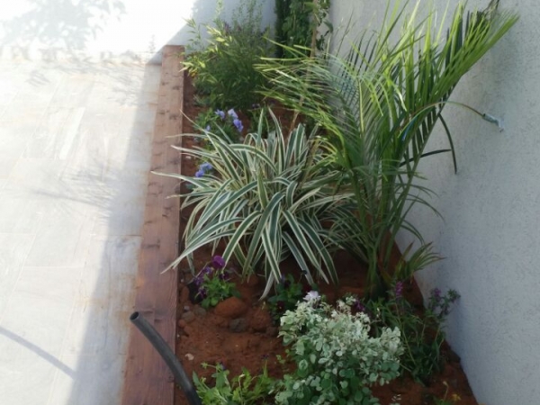 44a948bc1f77b8694408db49dee2c7e1