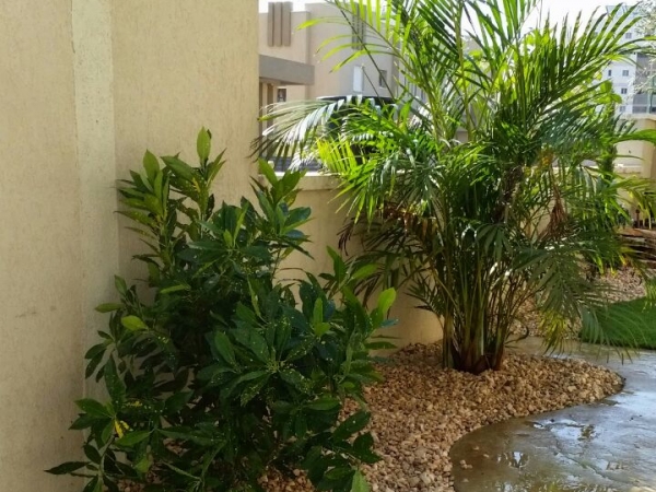 001f20f215cab4d5238178bb6920acf8