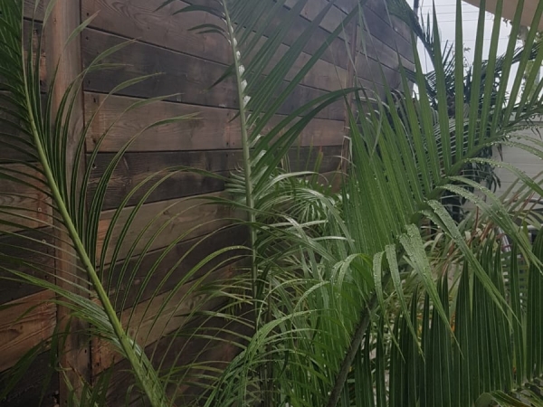 35324af150d3b231e6e1e8155d75d923