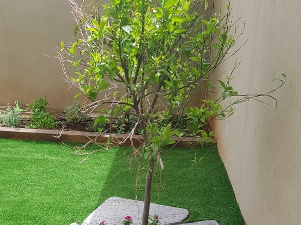 38b5ba40b133e5261af2594003bec8bc