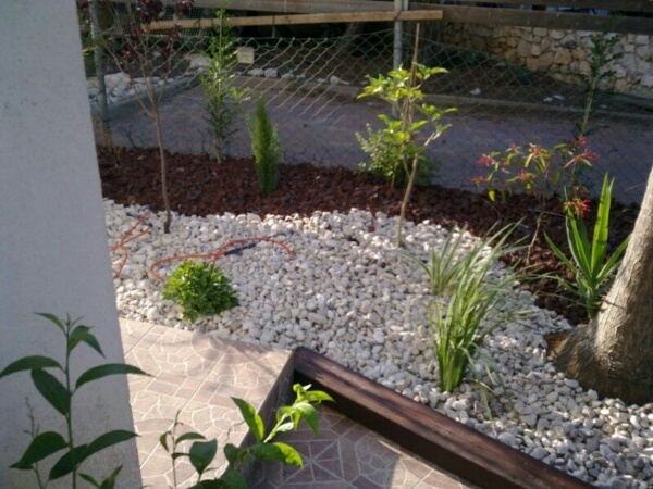 53377b22fc294cc0f1d4ee67bce7e7fa