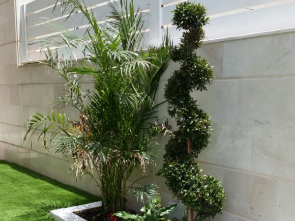 738b8d09878782025ecf3b929c50f53a