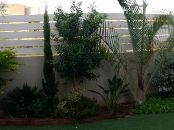 745d912bf942e9ee57a5e28b62fbe9c9