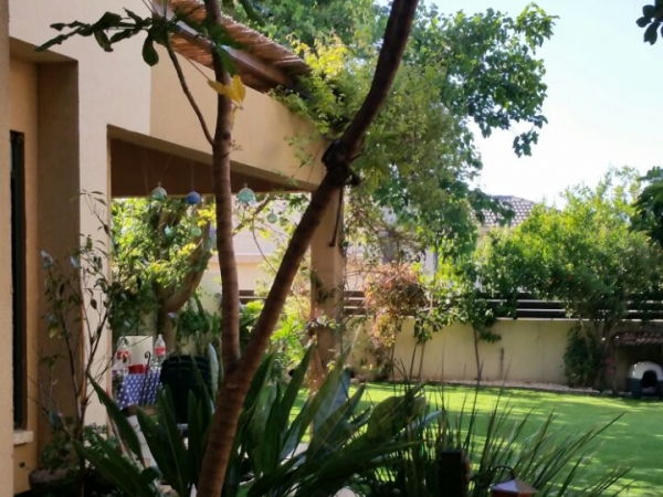 81bd0d9a0e0ff1d90fadfaaa953a5a64