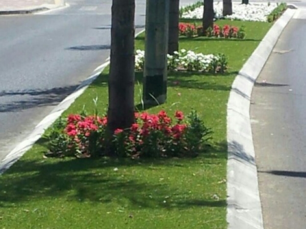 8838d07b9e732fb063862d59387ca601