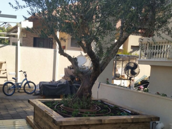 b2cb7965a71eac51f97d2f4be7b2be77