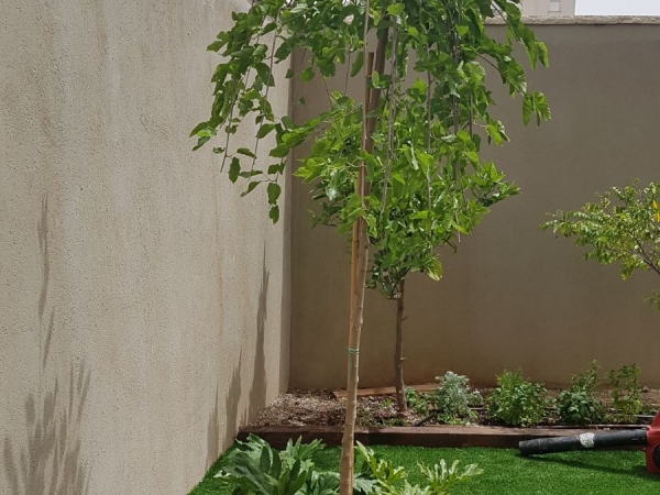 b376f791f325069d0c06eb0de0a3bd75