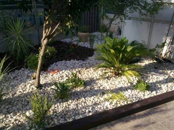 c40e29f3d1174b2bd6bf5ba15c09d7c5