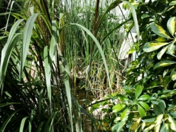 fab5c5113a6791e2ec16738b4ec12a76