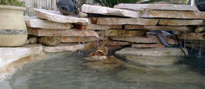 גינון עיצוב גינות